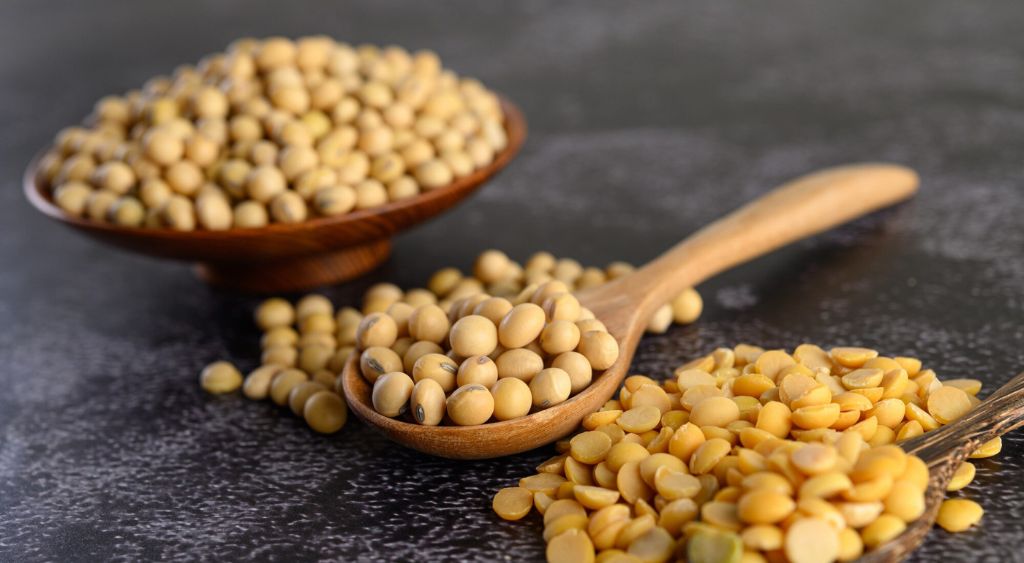 Sagami_Alla scoperta del miso con Sagami_02